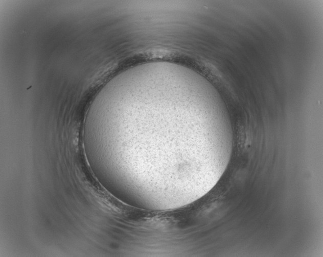 X0000078310545200611172217