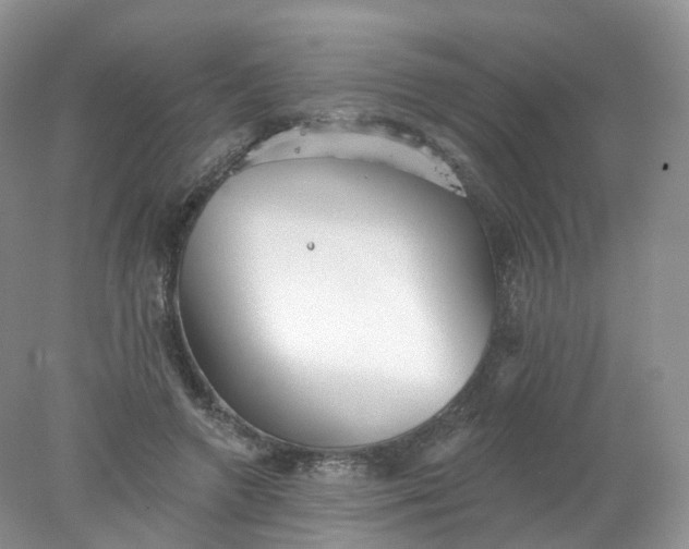 X0000078310546200611172217