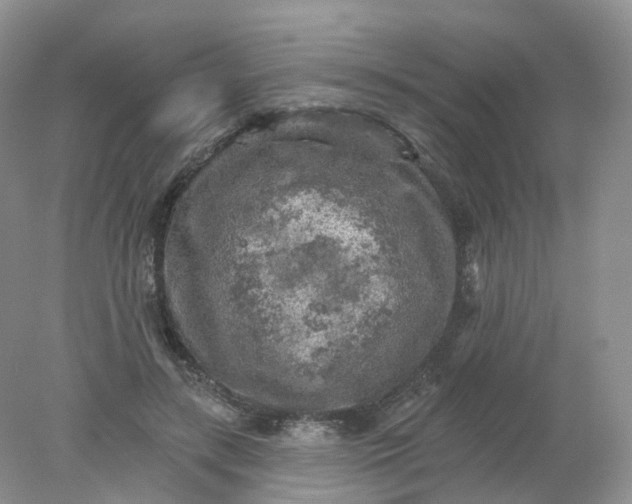 X0000078310547200611172217