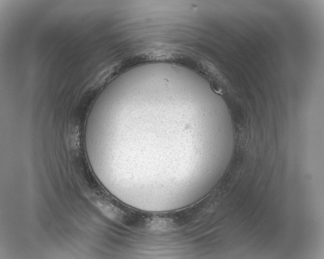 X0000078310549200611172217