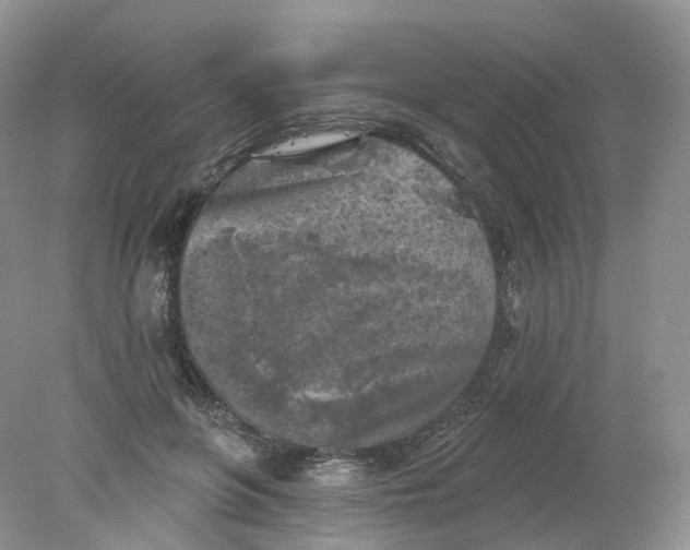 X0000078310551200611172217