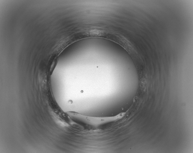 X0000078310552200611172217