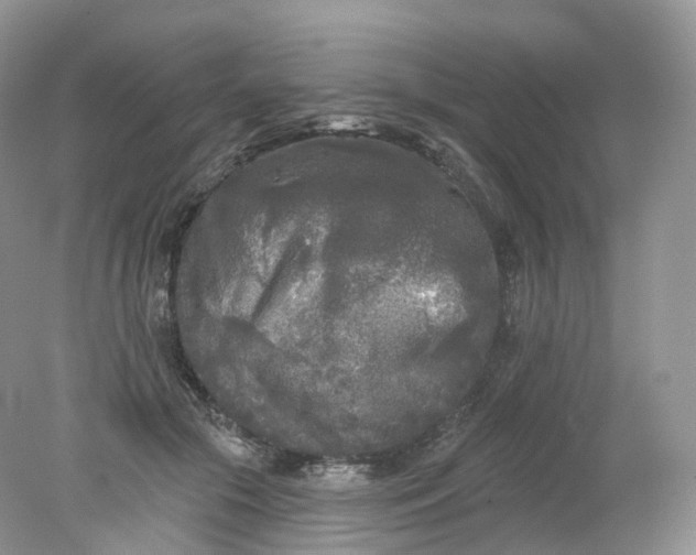 X0000078310553200611172217