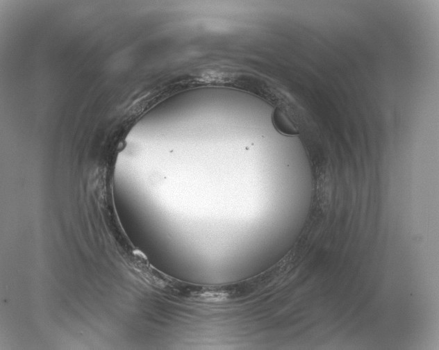 X0000078310554200611172217