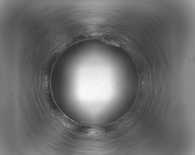 X0000078310555200611172217