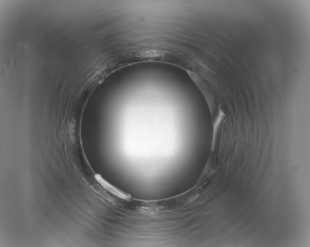 X0000078310556200611172217