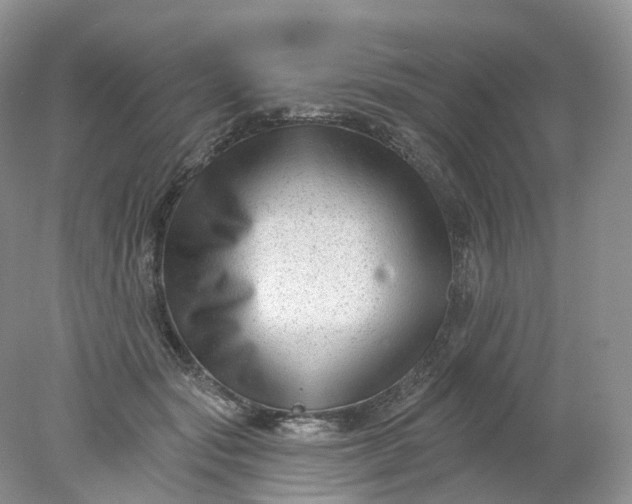 X0000078310557200611172217