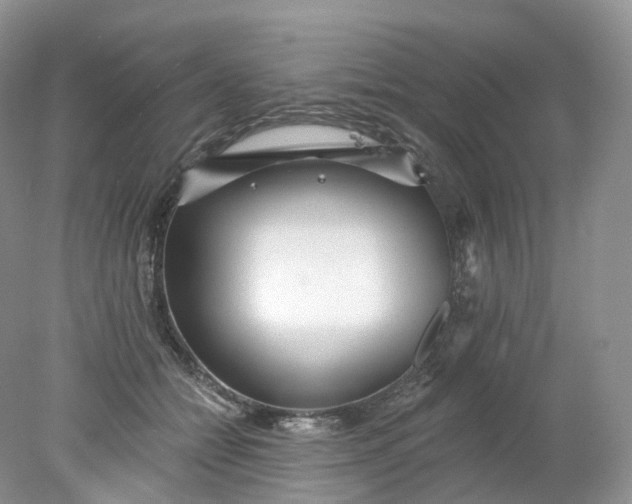 X0000078310558200611172217