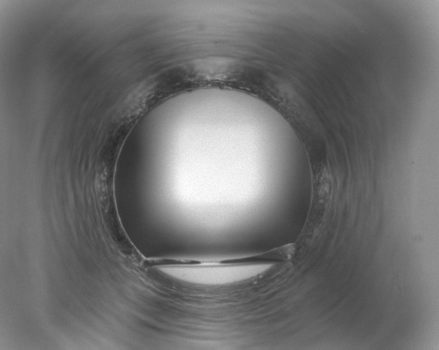 X0000078310559200611172218