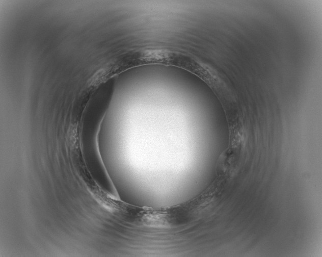 X0000078310560200611172218