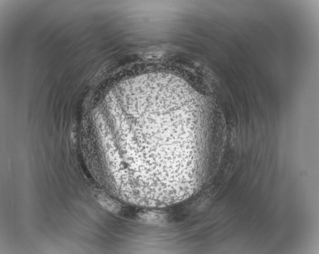 X0000078310561200611172218