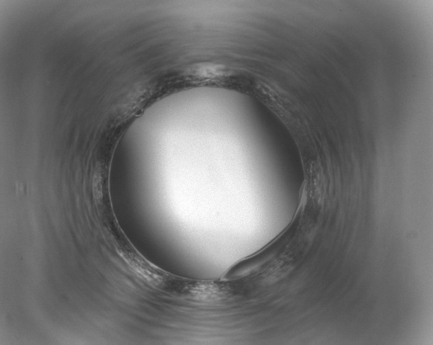 X0000078310562200611172218