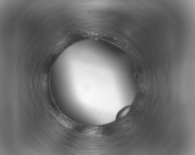 X0000078310563200611172218