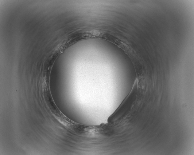 X0000078310564200611172218