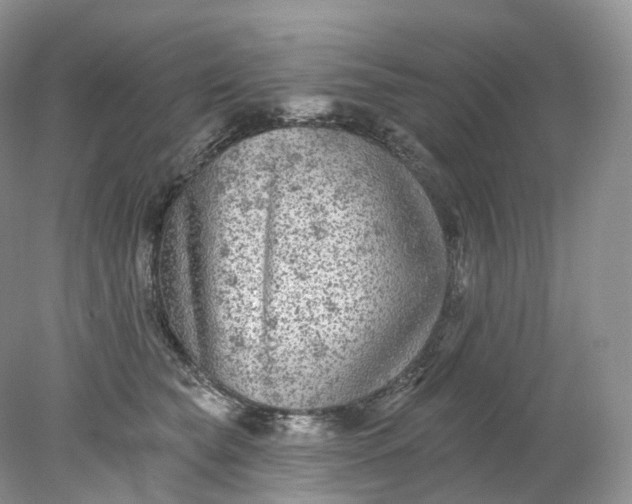 X0000078310565200611172218