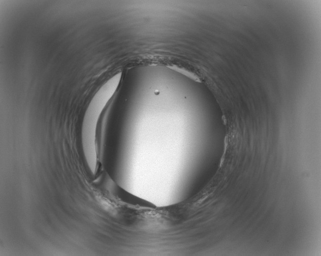 X0000078310566200611172218