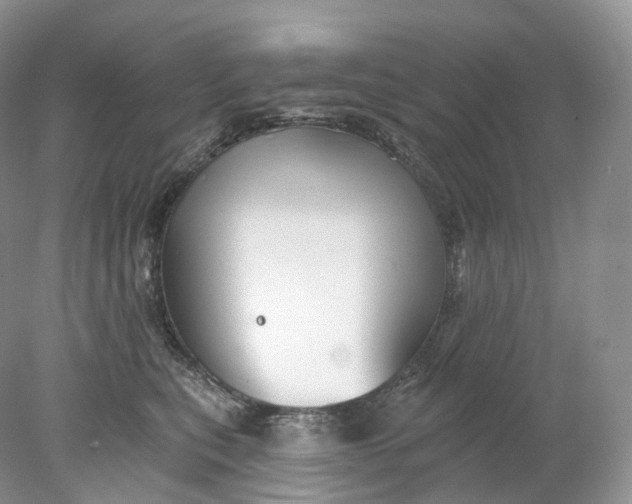 X0000078310567200611172218