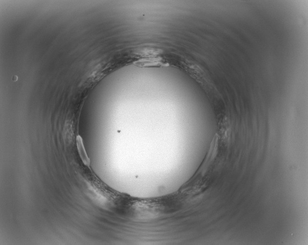 X0000078310568200611172218