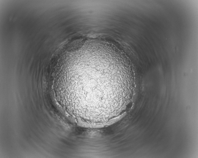 X0000078310569200611172218