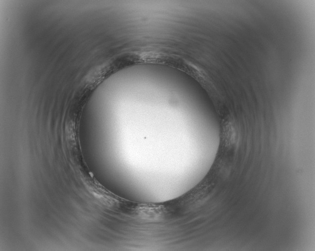 X0000078310571200611172218