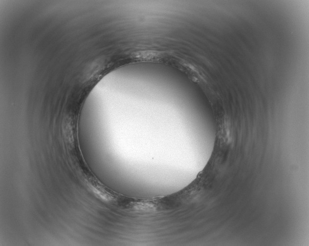 X0000078310572200611172218