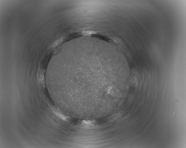 X0000078310573200611172218