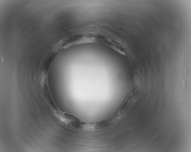 X0000078310574200611172218