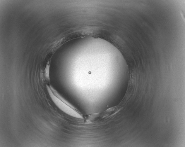 X0000078310575200611172218