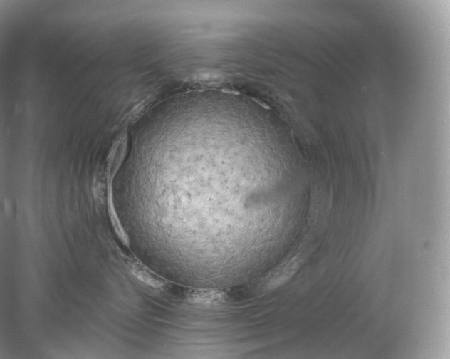 X0000078310576200611172218