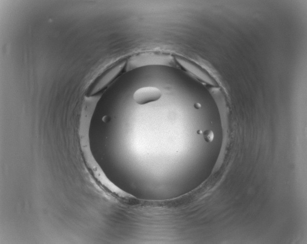 X0000078310577200611172217