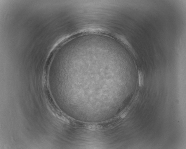 X0000078310579200611172217