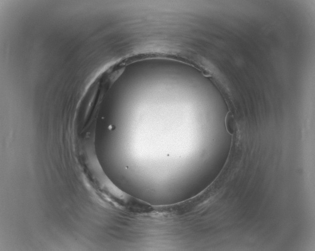 X0000078310580200611172217