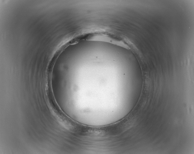 X0000078310582200611172217