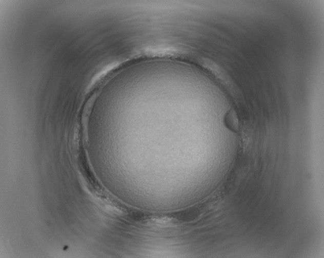 X0000078310583200611172217