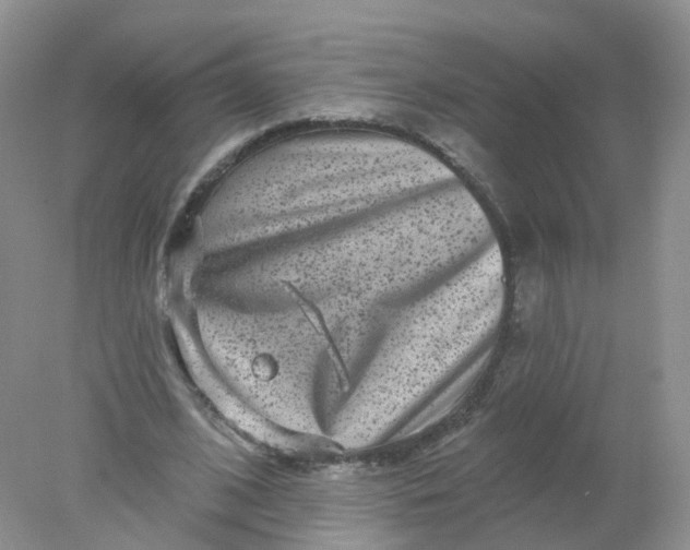 X0000078310584200611172217