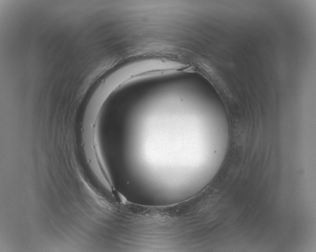 X0000078310586200611172217