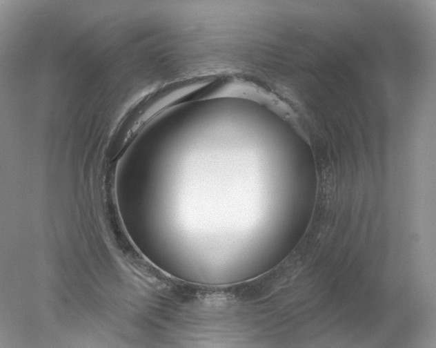 X0000078310587200611172217