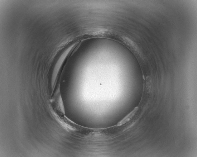 X0000078310589200611172217