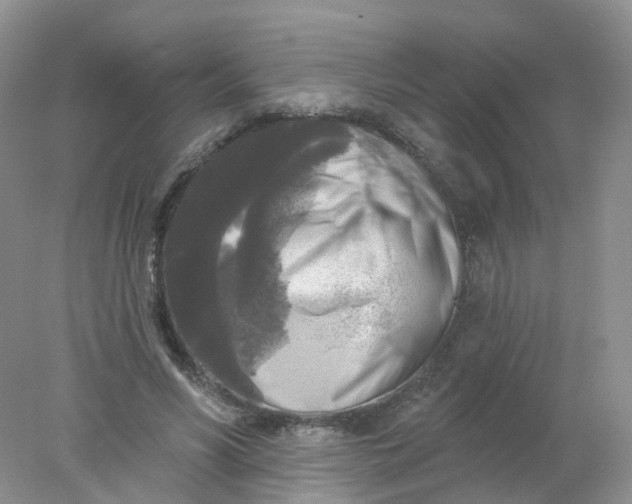 X0000078310590200611172217