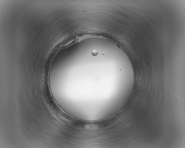 X0000078310591200611172217