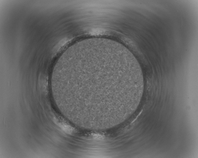 X0000078310592200611172217