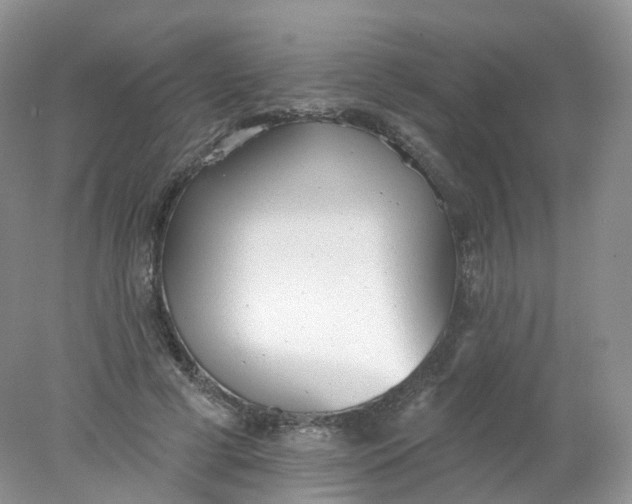 X0000078310593200611172217