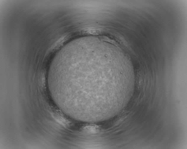 X0000078310595200611172217