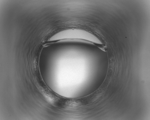 X0000078310597200611172217