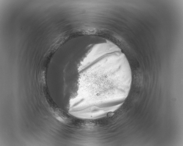 X0000078310598200611172217