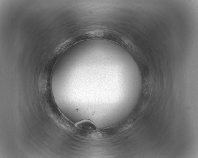 X0000078310600200611172217