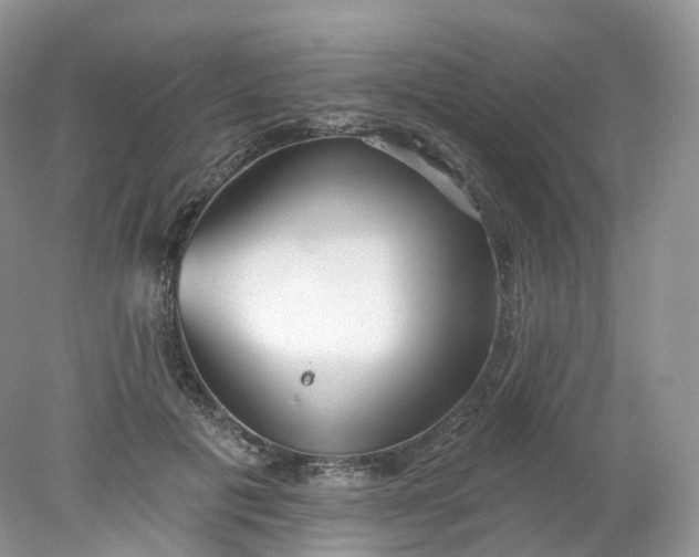 X0000078310601200611172217