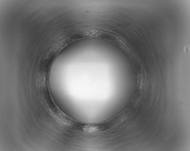 X0000078310602200611172217