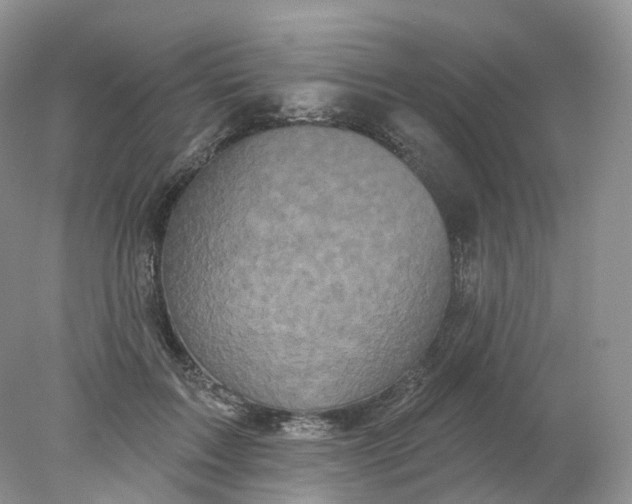 X0000078310603200611172217