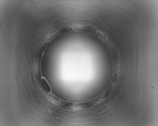 X0000078310604200611172217